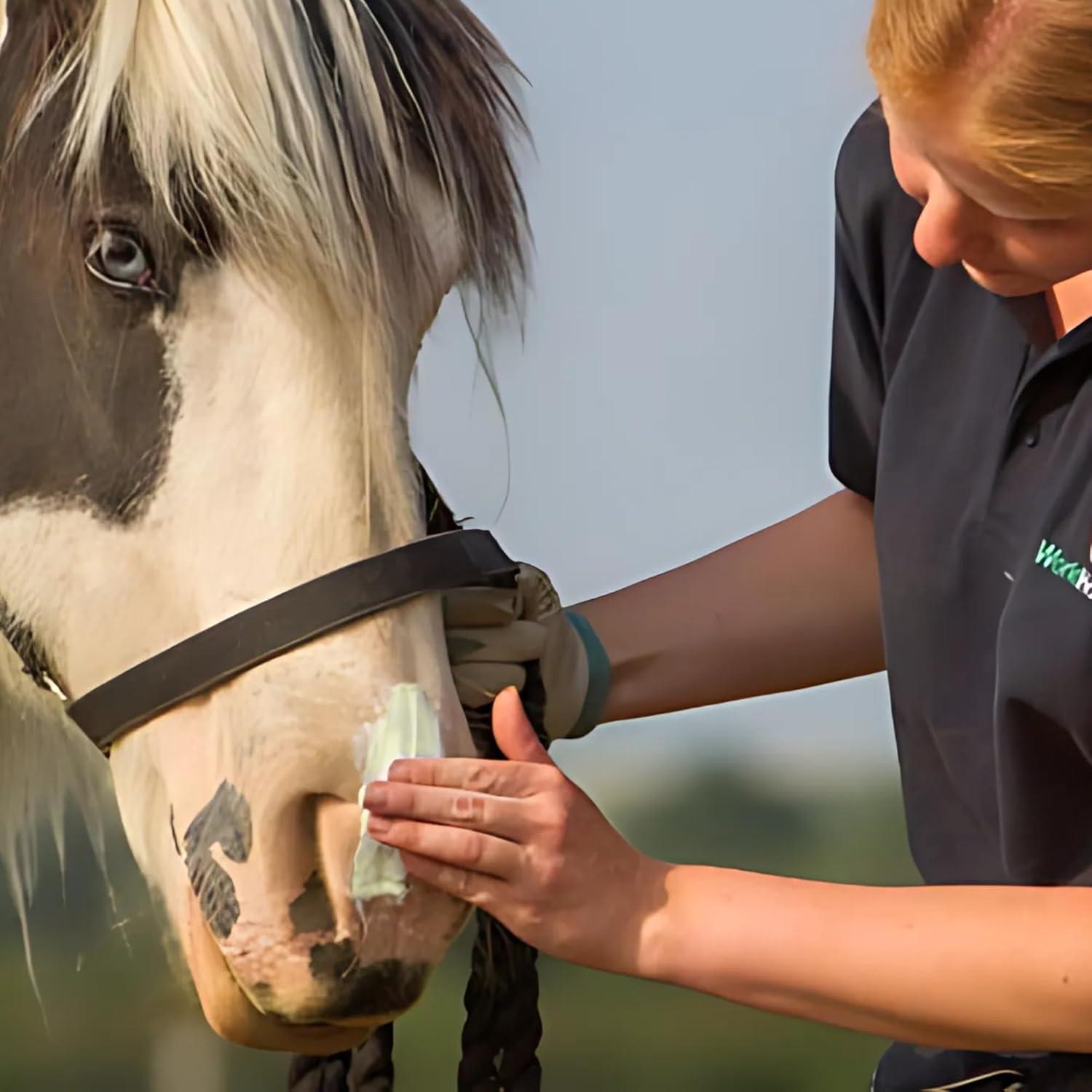 Protector Solar Orgánico Sit Stay Forever para Caballos 113.4 g