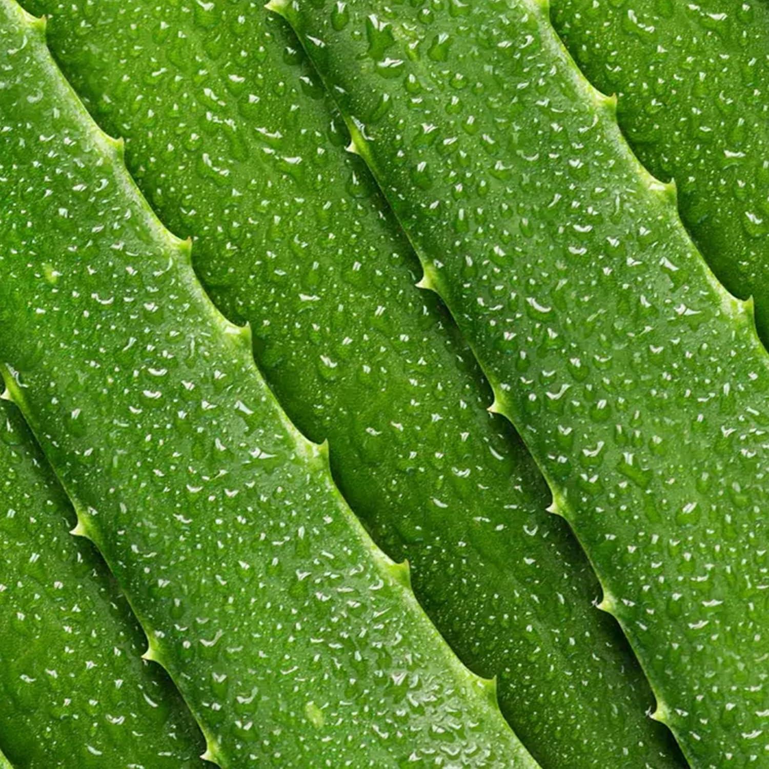 Tónico Facial Hidratante Mario Badescu 236 ml Piel Seca