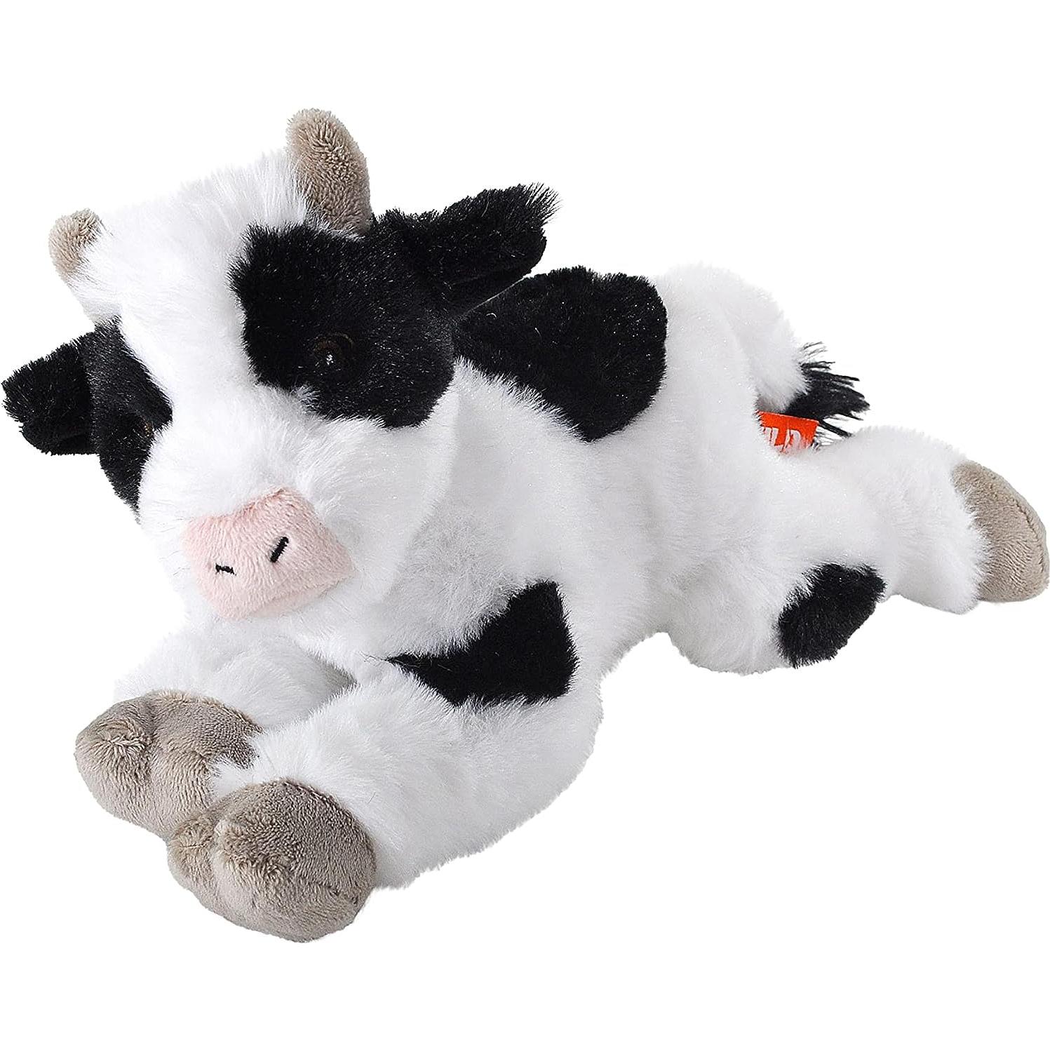 Set de Regalo Te Amaré Hasta Que Las Vacas Vuelvan a Casa