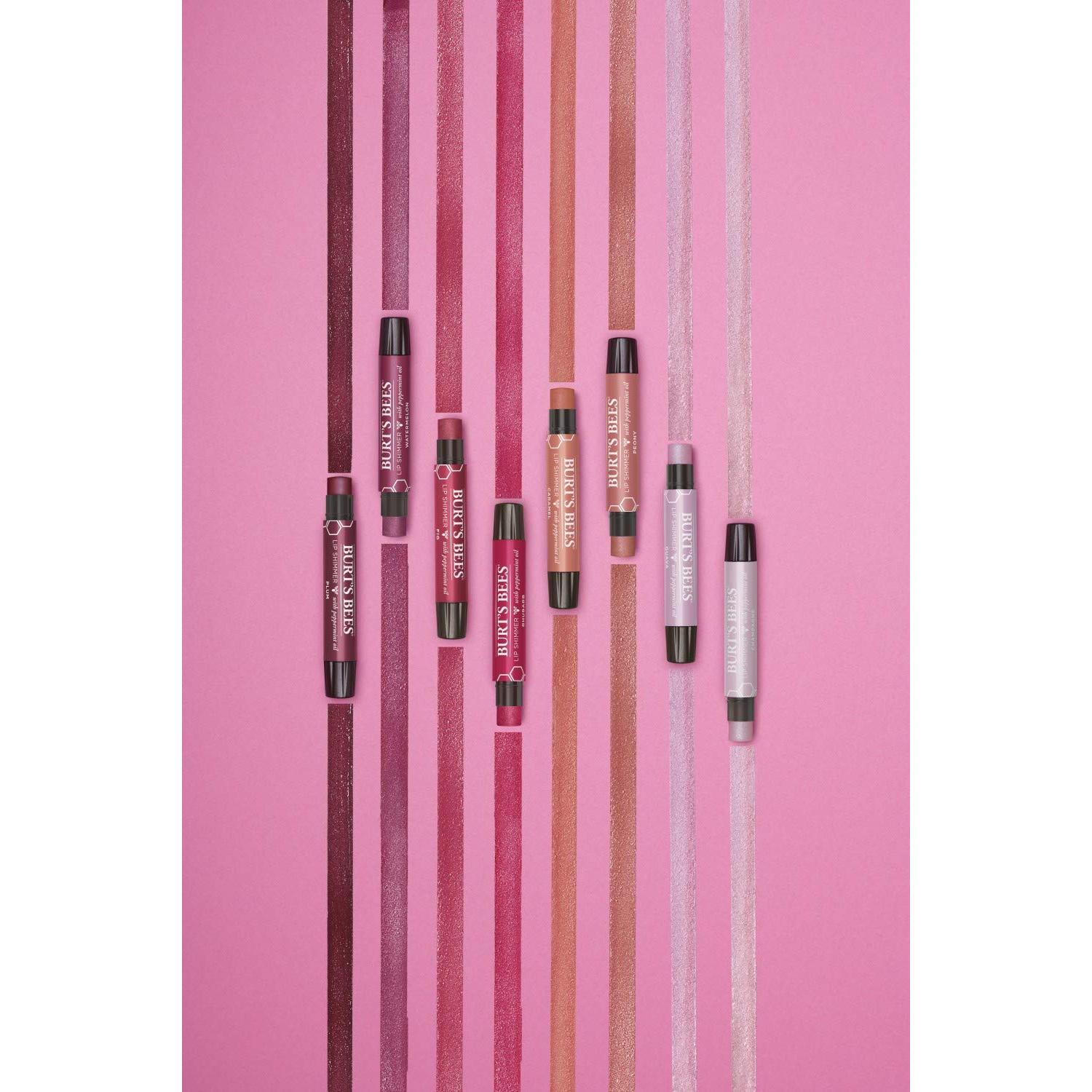 Brillo Labial Burt's Bees Albaricoque 2.54g Hidratante Natural