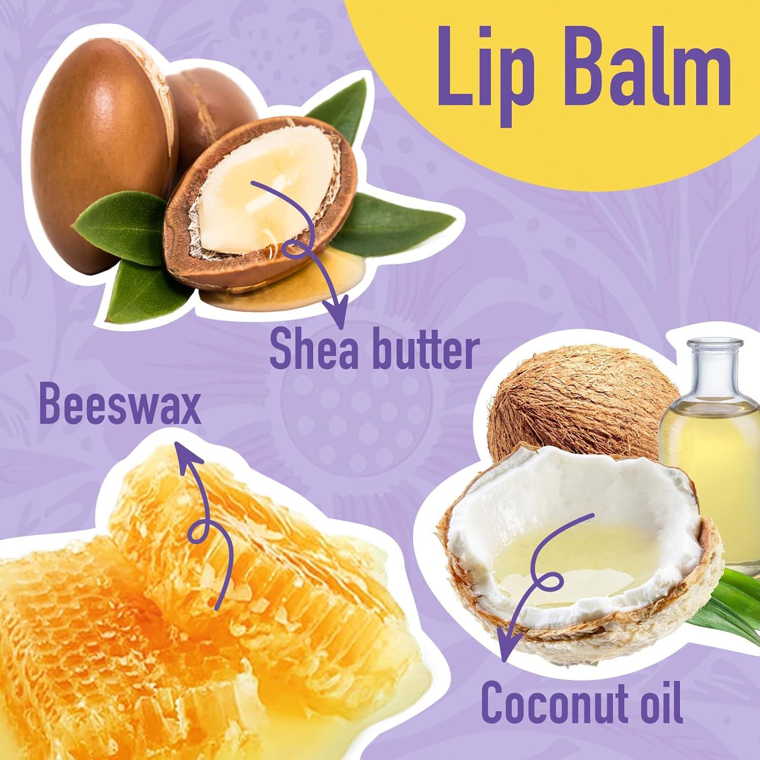 Bálsamo Labial Natural AZEN 12 Sabores Hidratante 4.25g