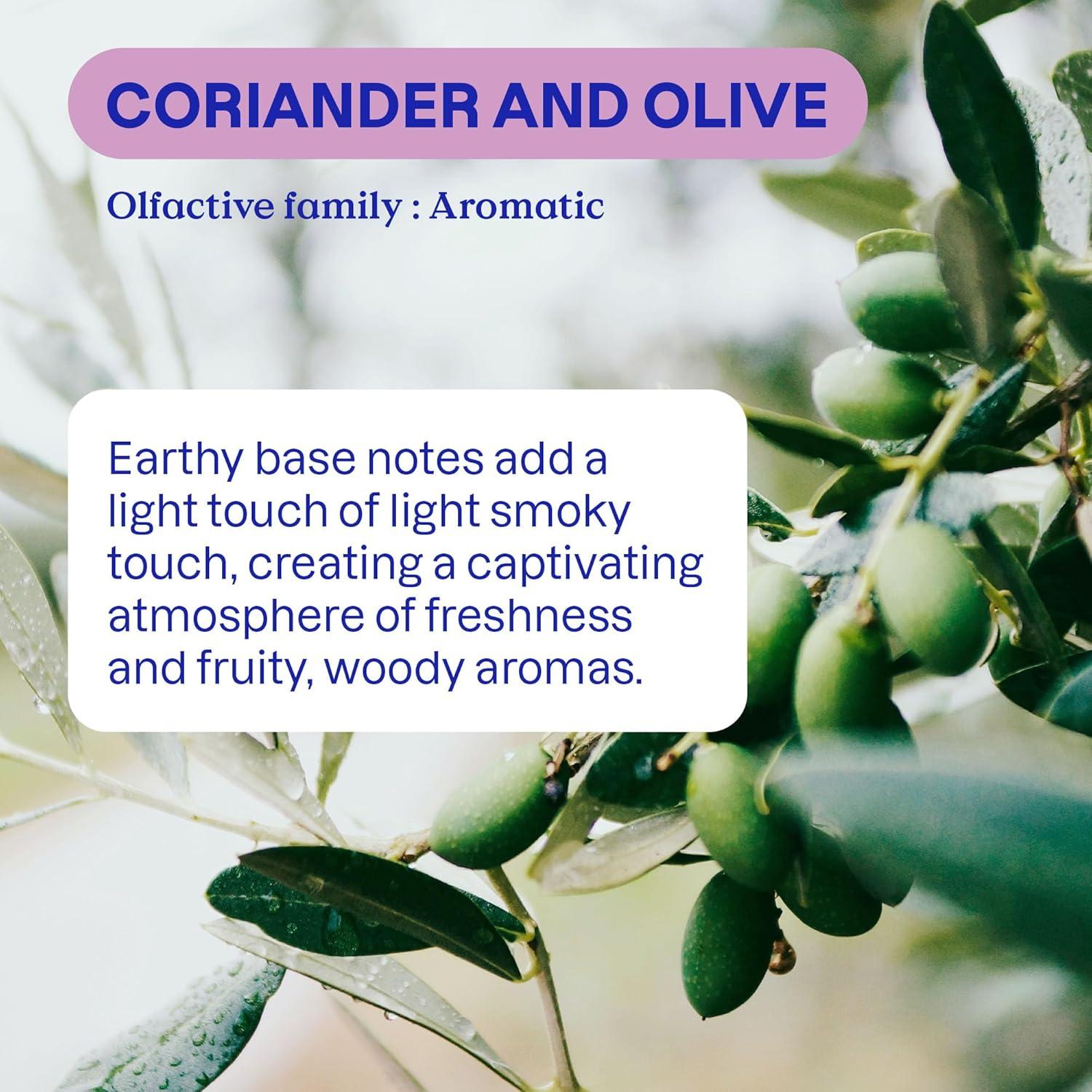 Jabón Líquido para Platos ATTITUDE 4L Vegano Cilantro y Oliva