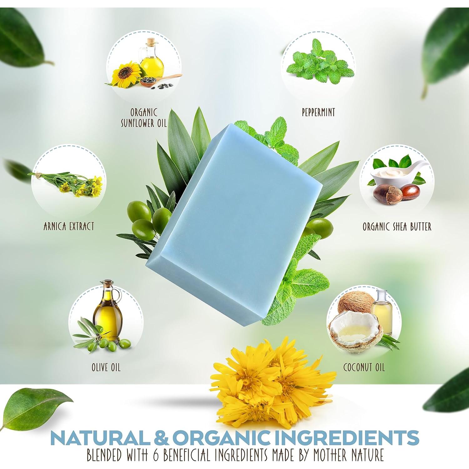 Jabón Vegano de Árnica y Menta Aspen Kay Naturals - 3 Piezas