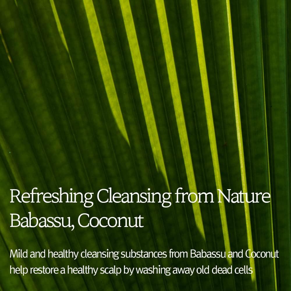 Conjunto Champú y Acondicionador NARD - Vitalidad Himalaya 1L