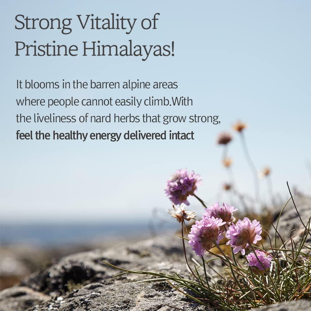 Conjunto Champú y Acondicionador NARD - Vitalidad Himalaya 1L