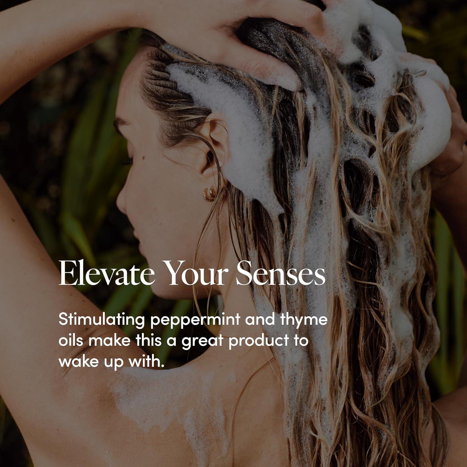 Champú LATHER Menta y Tomillo 236 ml - Revitalizante Diario