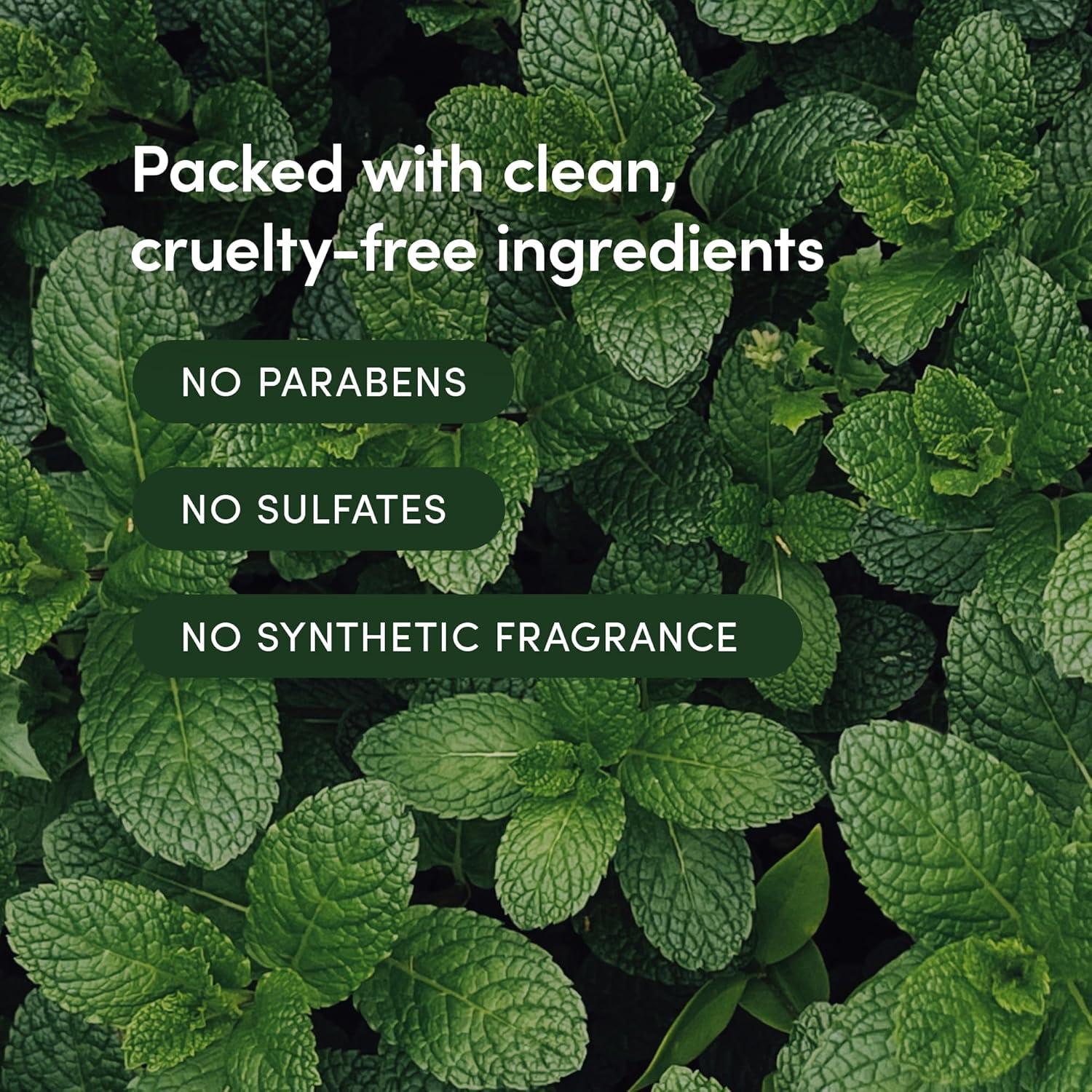 Champú LATHER Menta y Tomillo 236 ml - Revitalizante Diario