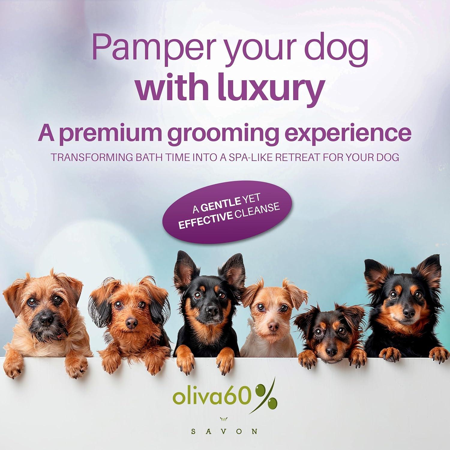Champú Natural para Perros Oliva60 - Avena, Lavanda y Vainilla