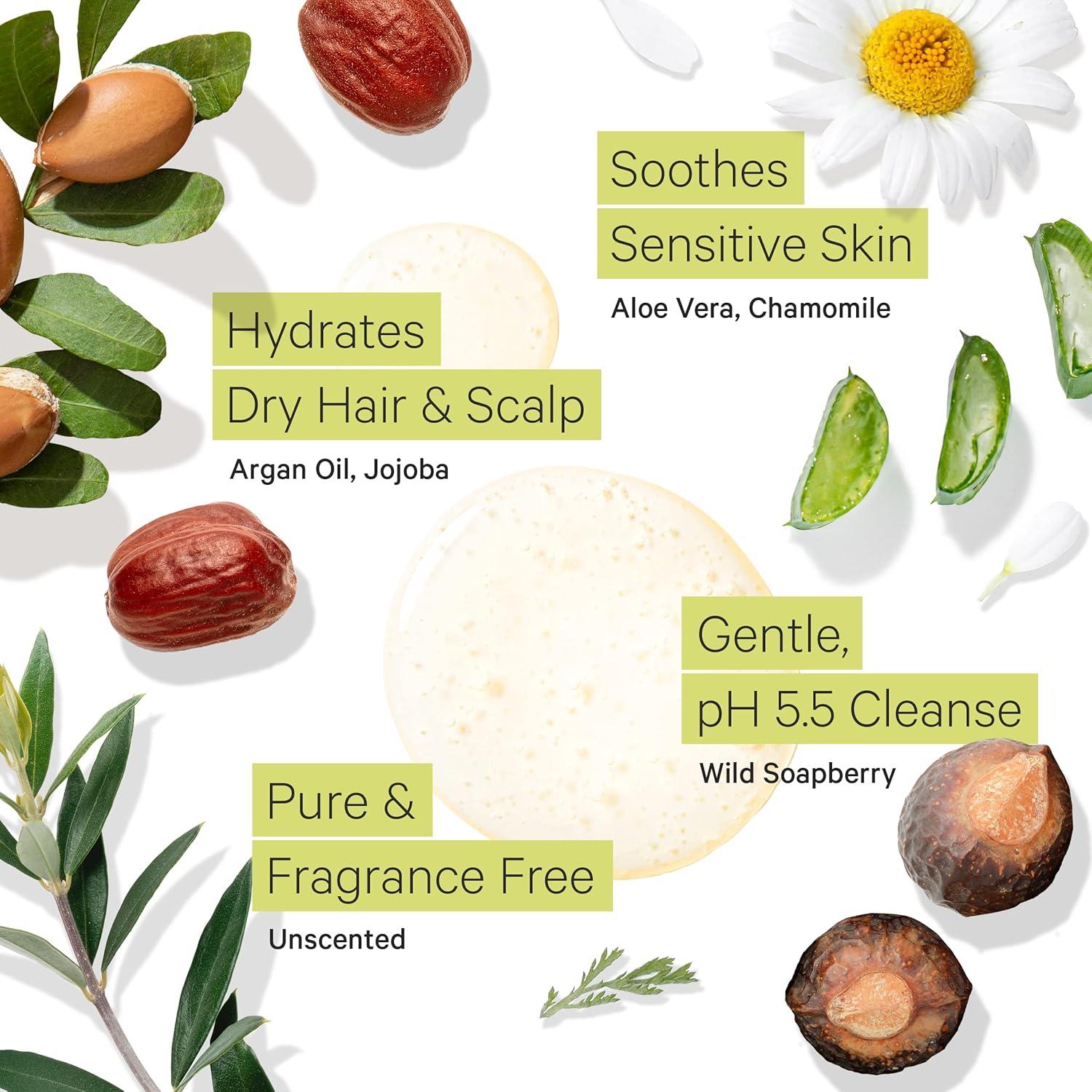 Champú hidratante Tree to Tub 250ml sin fragancia para cuero cabelludo seco