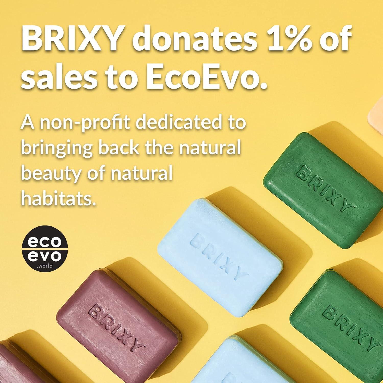 BRIXY Juego de Champú y Acondicionador Vegano 340g