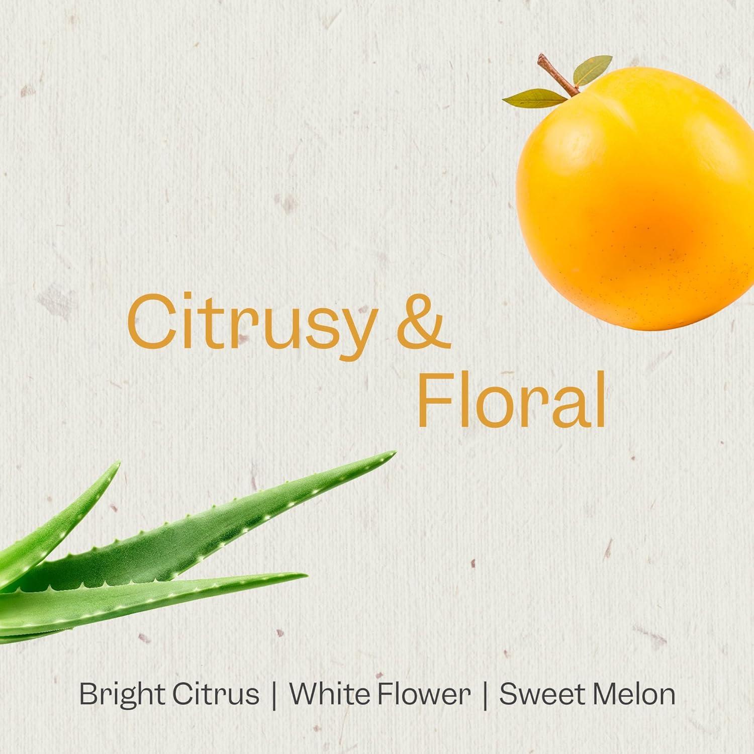 Acondicionador Ultra Suavizante Renpure 710 ml - Aceite de Marula y Aloe