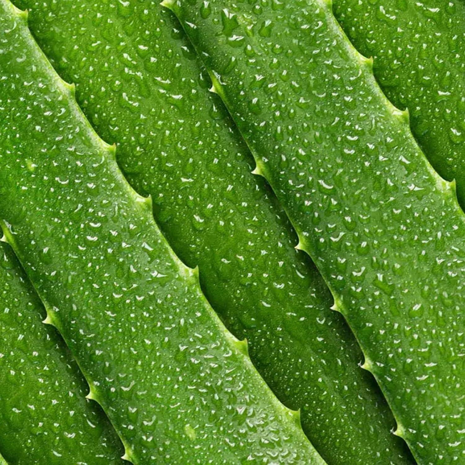 Hidratante Facial Mario Badescu Aloe SPF 15 59 ml