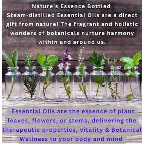 Jabón de Leche de Cabra BOGUE No.20 Hidratante 141.75g