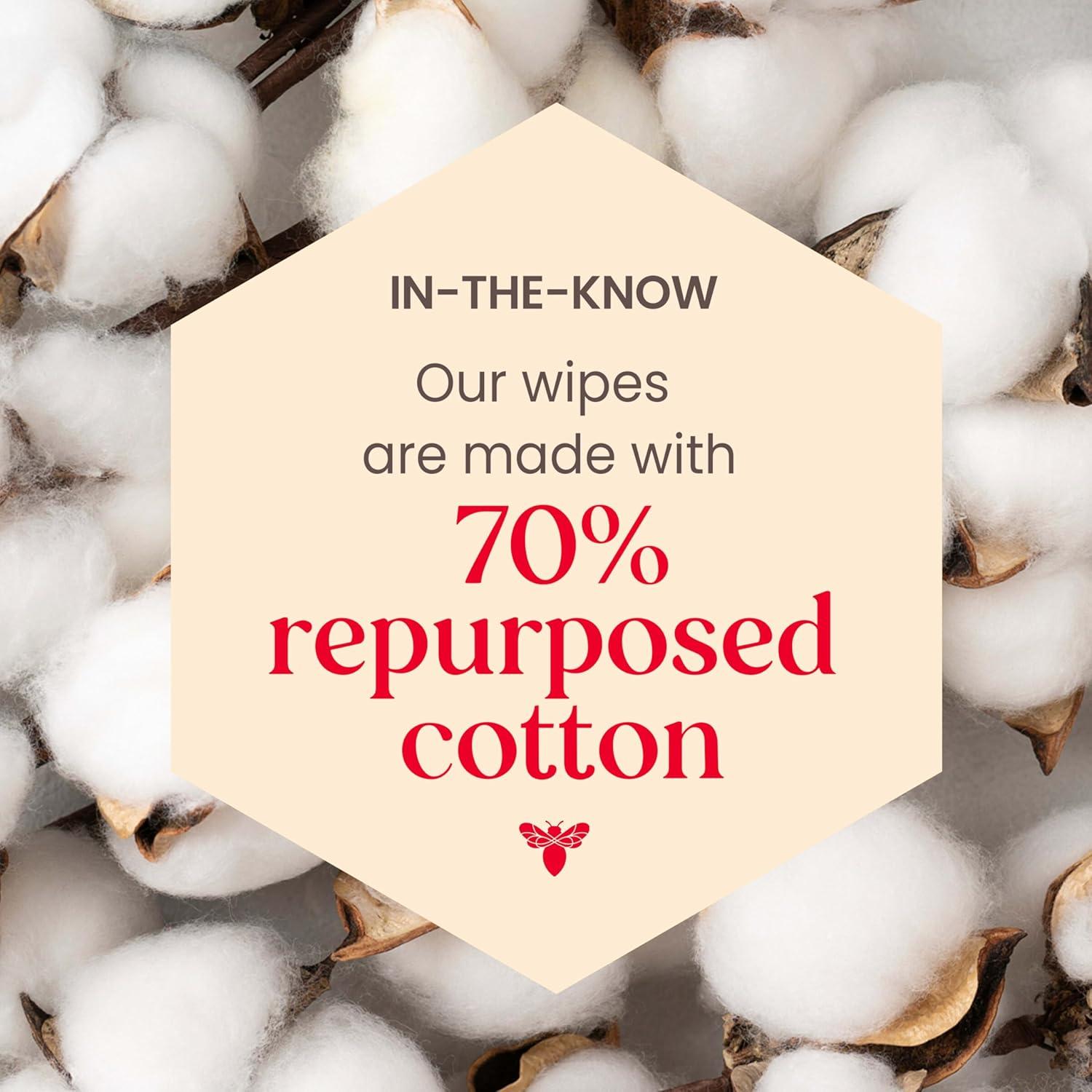 Toallitas Faciales Micelares Burt's Bees 10 Unidades Agua de Rosa