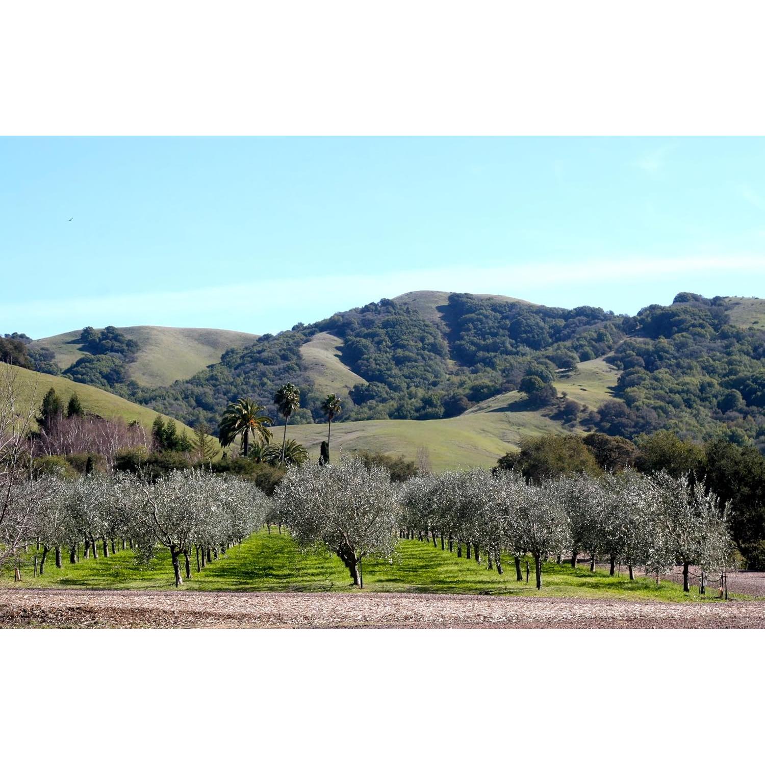 Mantequilla Corporal Batida McEvoy Ranch 171.5 ml Verde