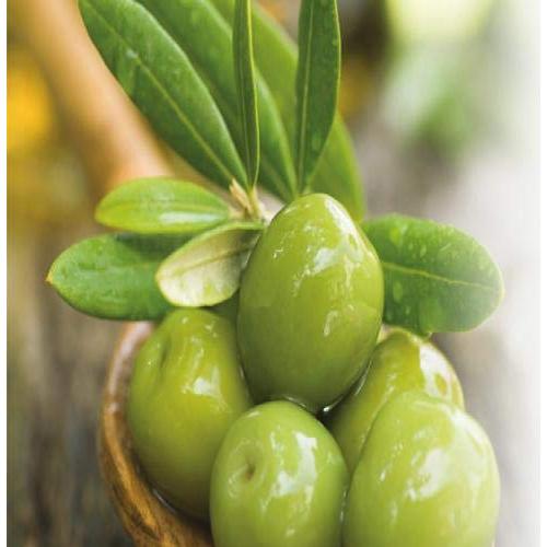 Dúo de Cuidado de Manos Fruits & Passion Sal Marina 200ml + Limón 150ml