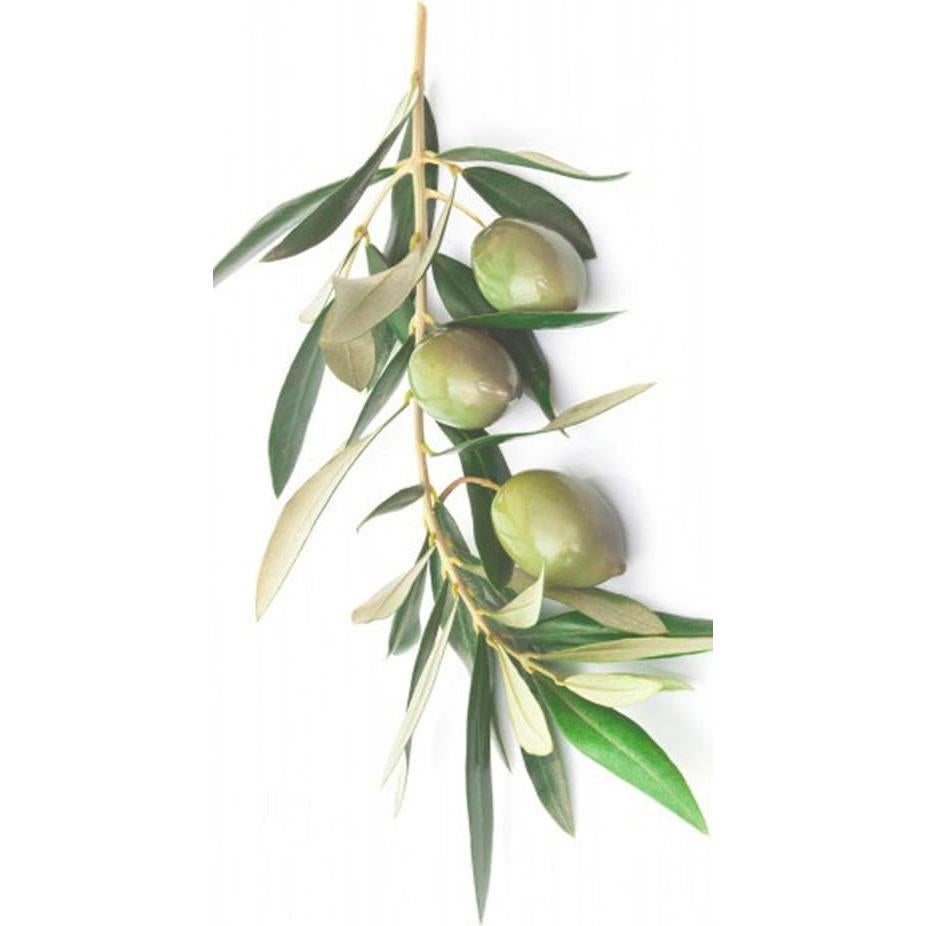 Crema Hidratante Corporal YASOU Sin Aroma 226g - Piel Seca