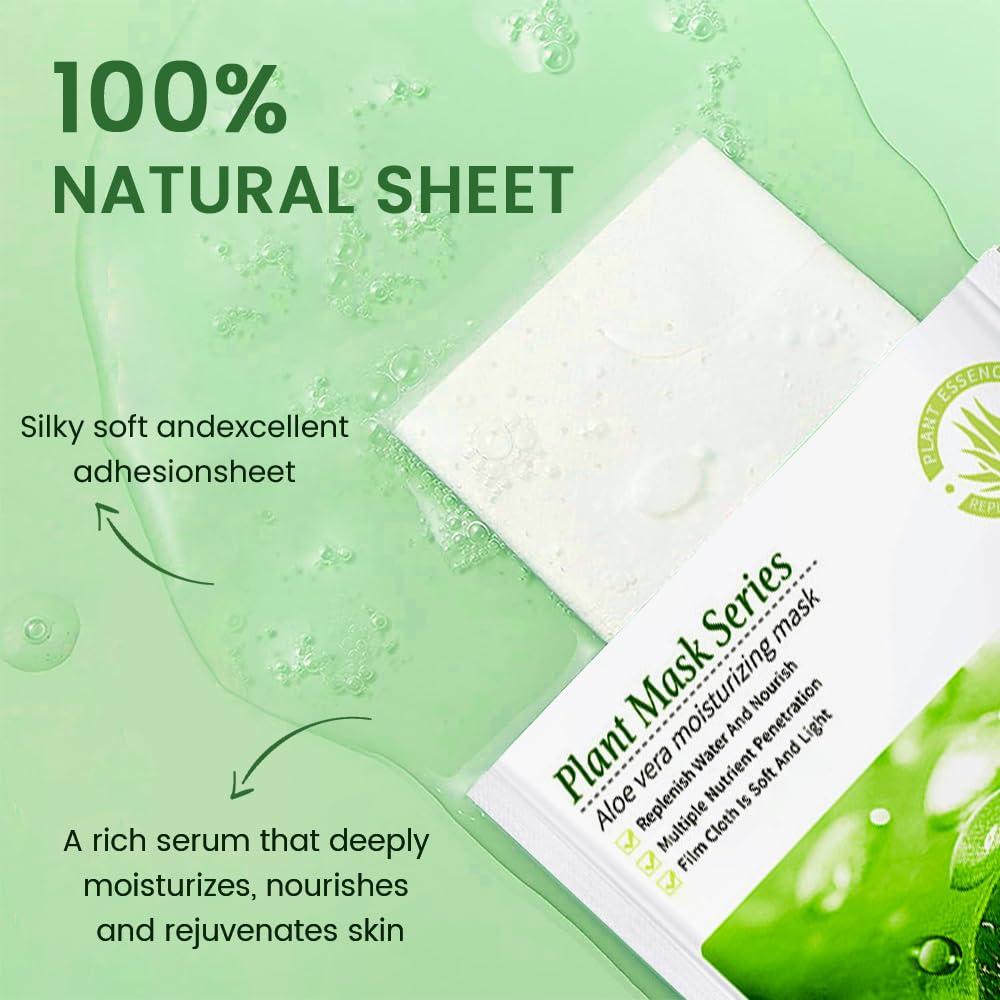 Mascarillas de Tela Kaely 6 Pcs Aloe Vera Hidratantes