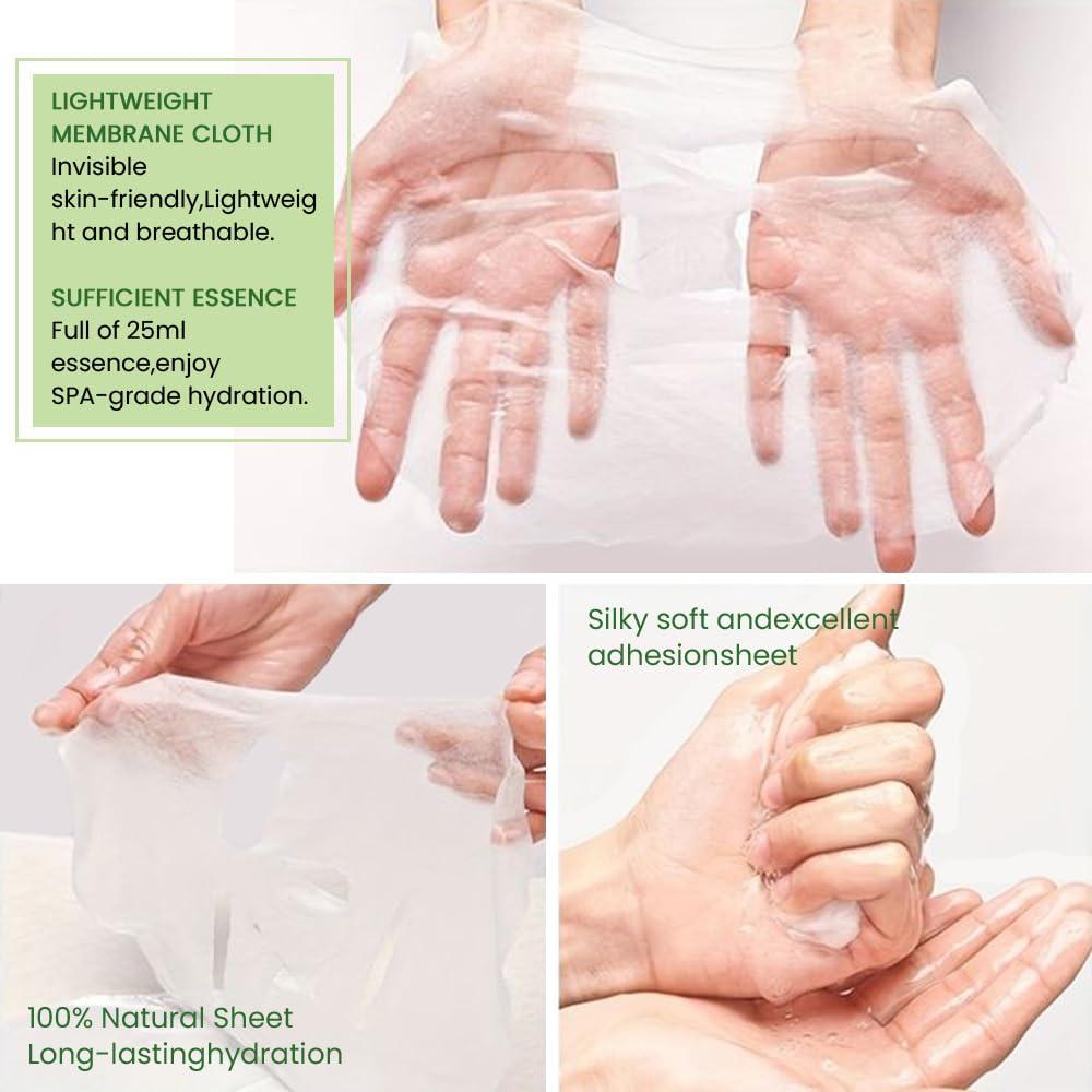 Mascarillas de Tela Kaely 6 Pcs Aloe Vera Hidratantes