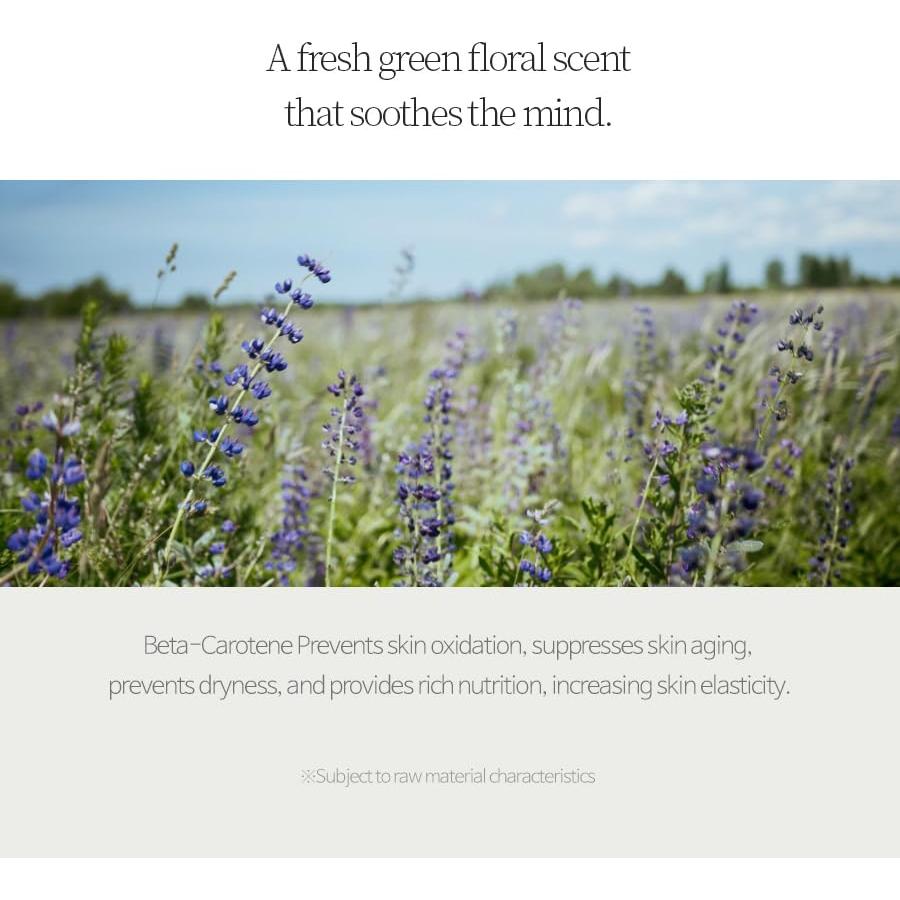 Aceite Corporal de Zanahoria Paris Queen 198.4 ml - Hidratante y Protector