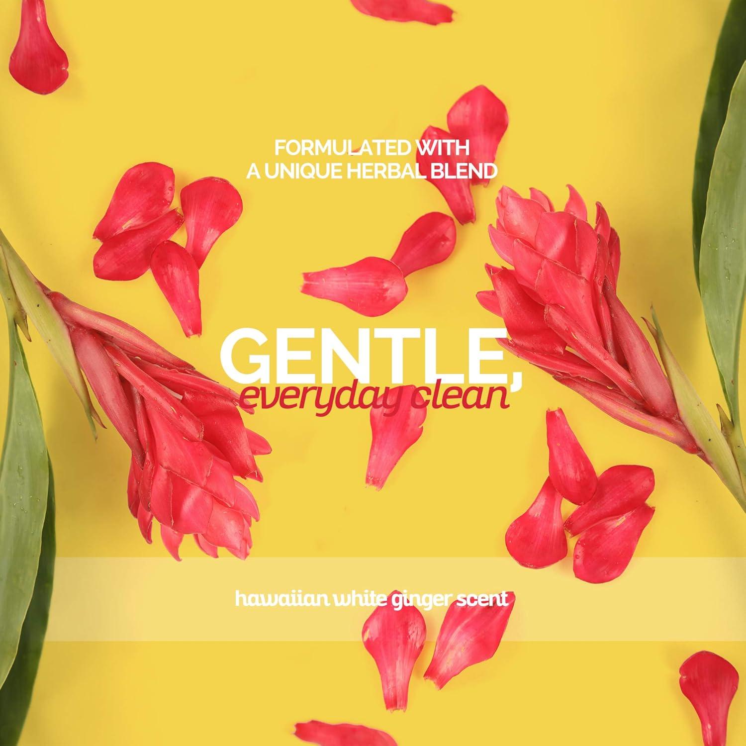 Champú para Perros Bark2Basics Jengibre Hawaiano 3.9 kg