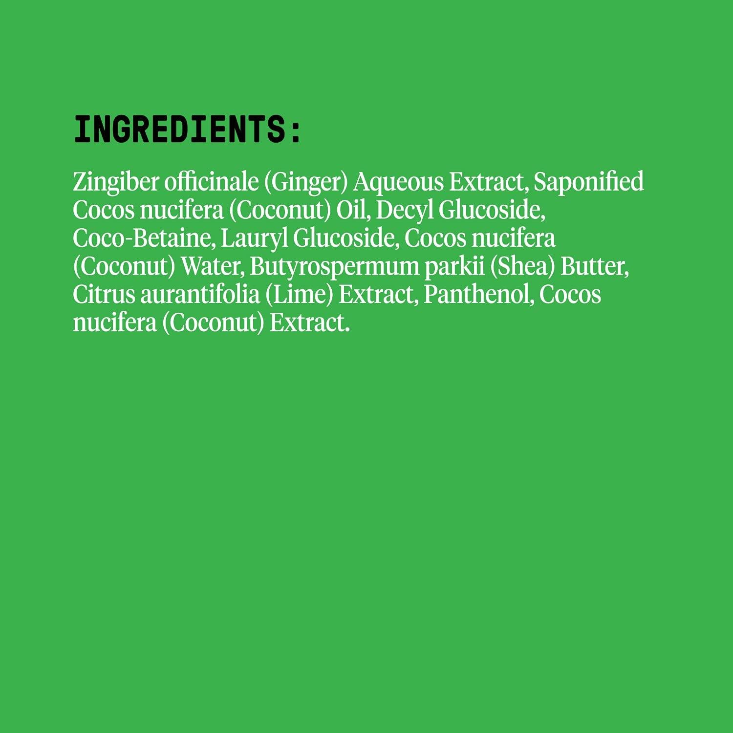 Champú Hidratante Alaffia Coco Lima 946 ml - Cabello Normal a Seco