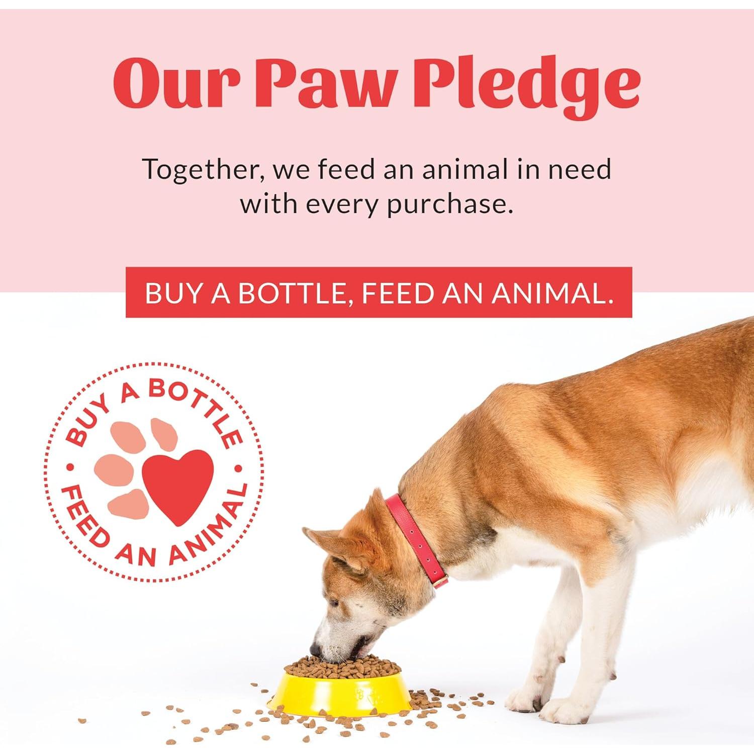 Champú para Mascotas Skout's Honor Alivio Picor 473 ml