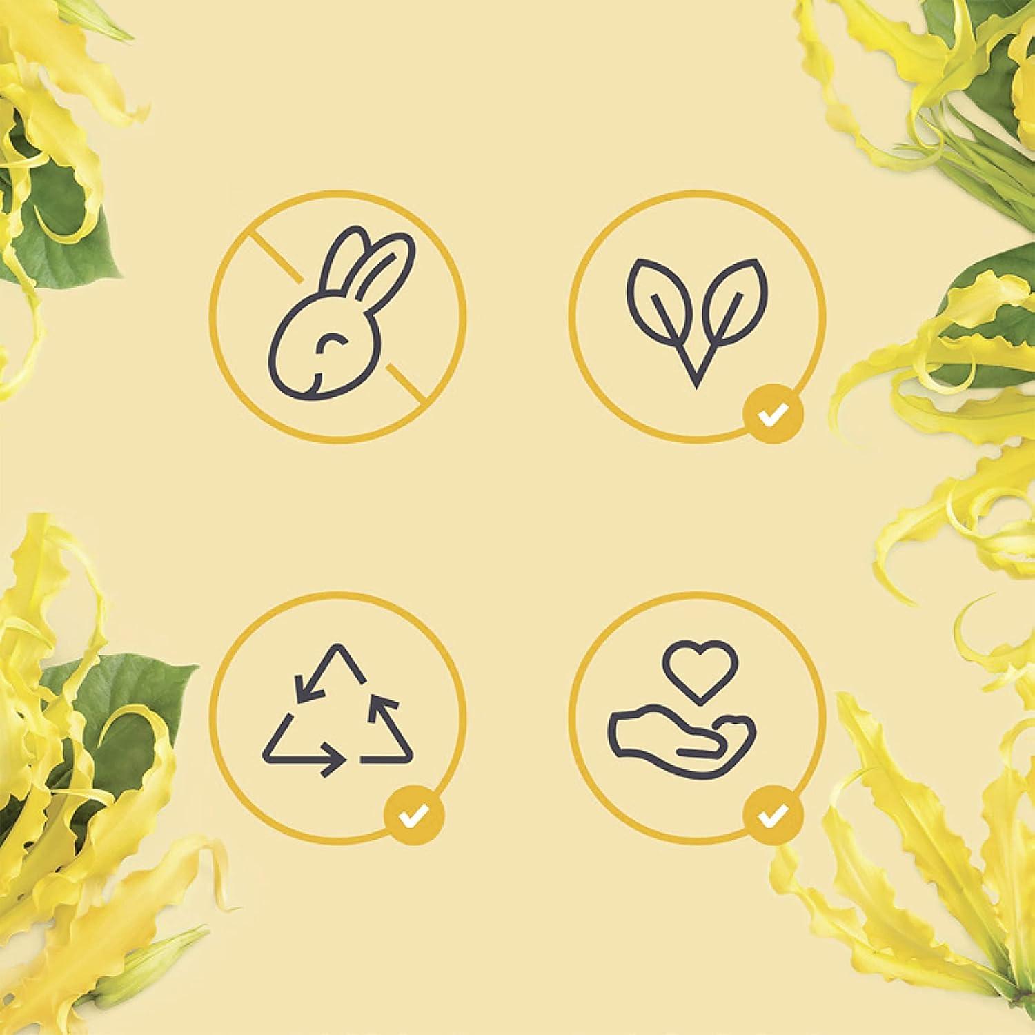 Dúo Champú y Acondicionador Amor Belleza y Planeta 400 ml