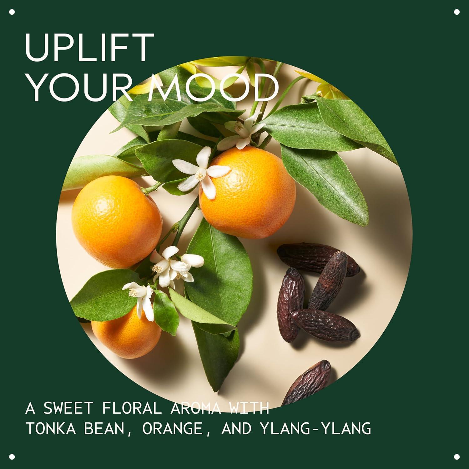 Acondicionador Suavizante Aveda 190g Cereza y Almendra