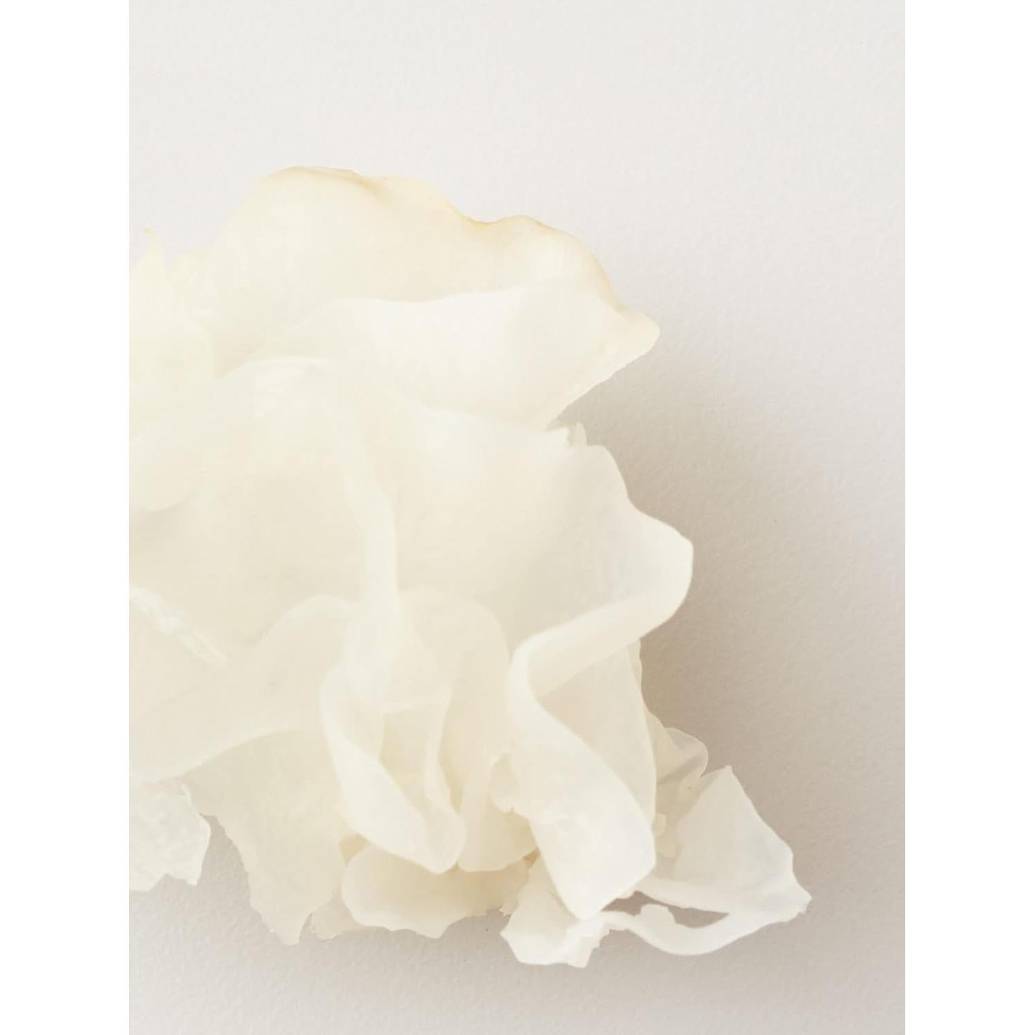 Máscara Capilar AG Care Nourish Snow Mushroom 148 ml - Acondicionador Profundo