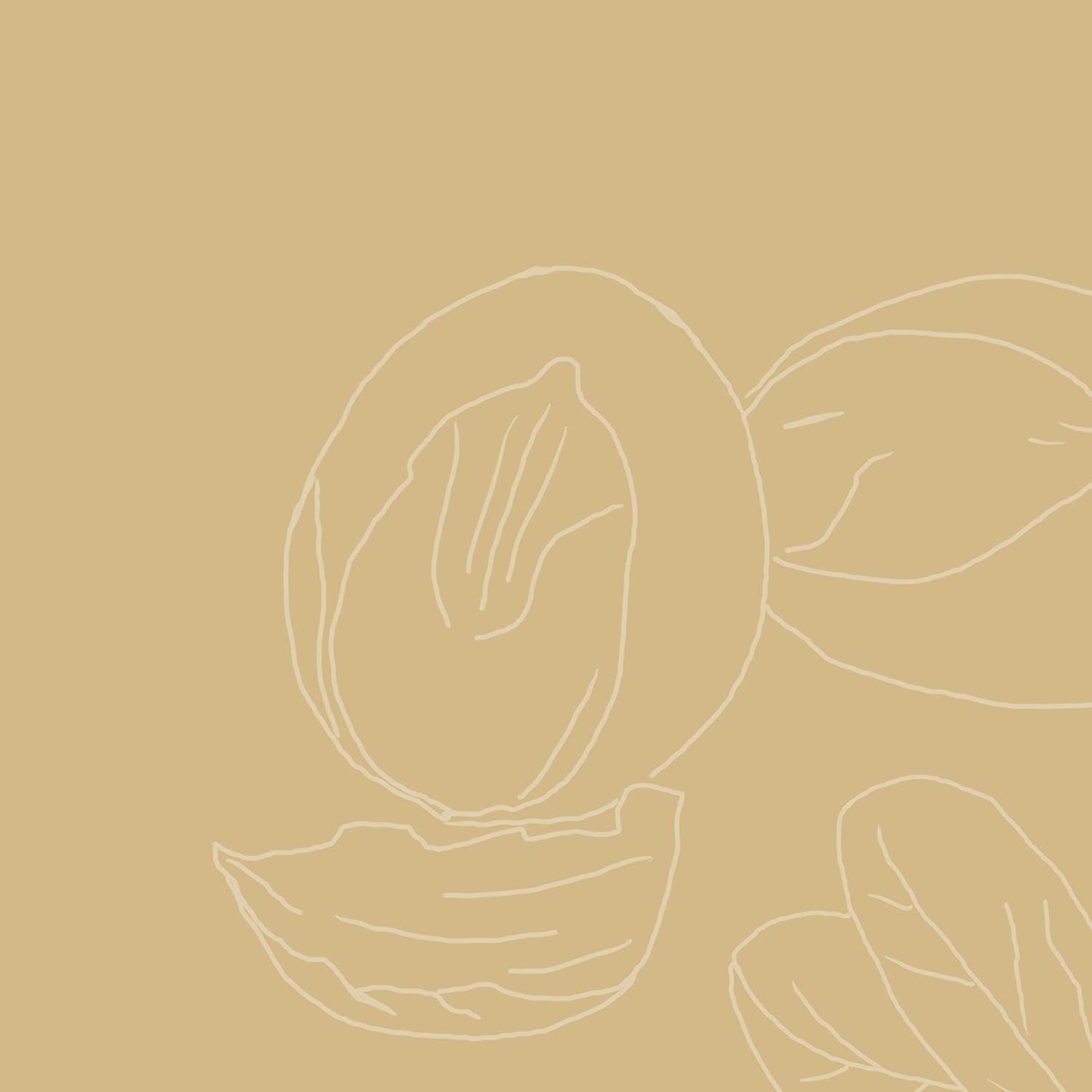 Mascarilla Capilar Hidratante SheaMoisture 340g - Manteca de Karité