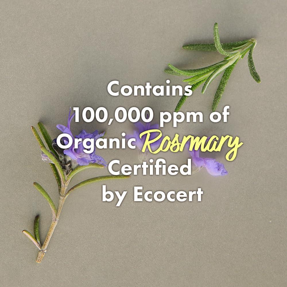 RATED GREEN Cold Brew Acondicionador Cuero Cabelludo Romero 50ml