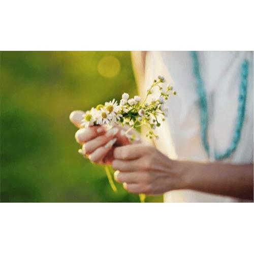 Crema de Manos y Uñas BALSAM 3x100ml con Aloe Vera y Manzanilla