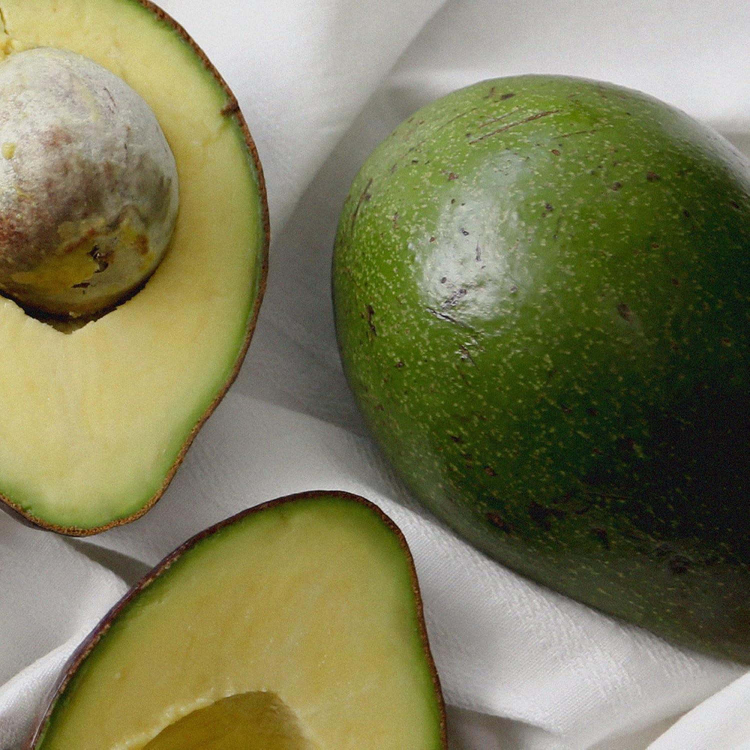 Jabón de Manos Orgánico Common Ground - Aceite de Aguacate - 3 Paquetes