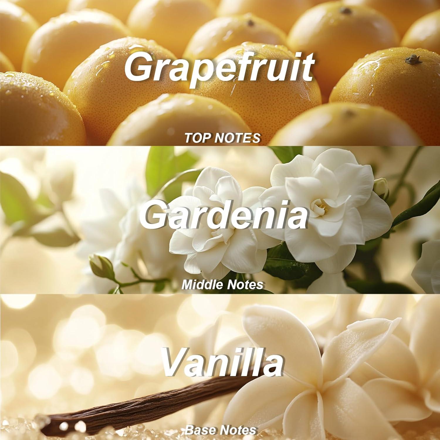 Loción Corporal Reafirmante Vassili 365 ml Hidratante Piel Seca