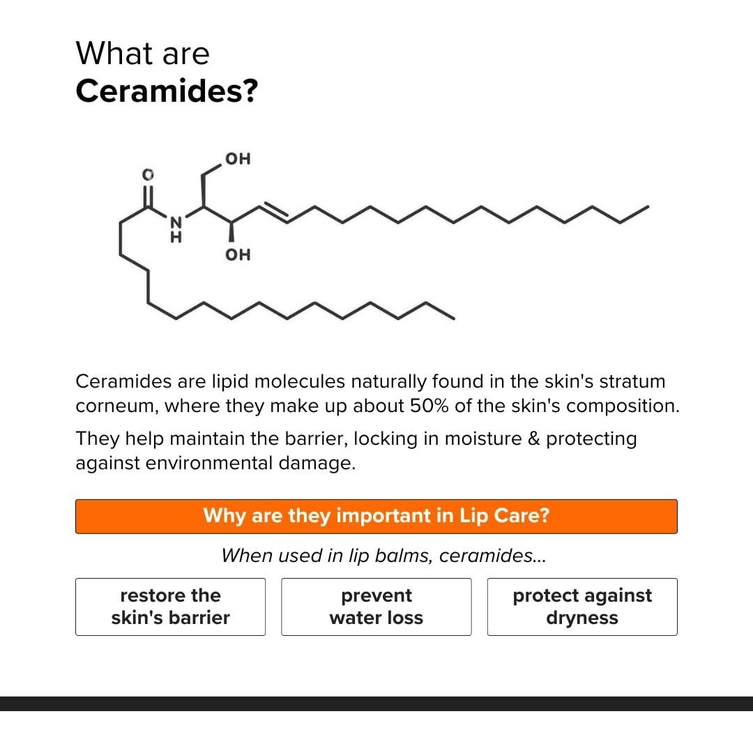 Bálsamo Labial Ceramida Uprising Science 8g Hidrata y Repara