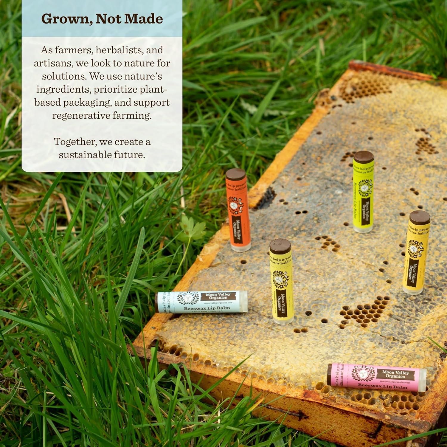 Bálsamo Labial Orgánico Moon Valley Menta Fría Vainilla 4 Unidades