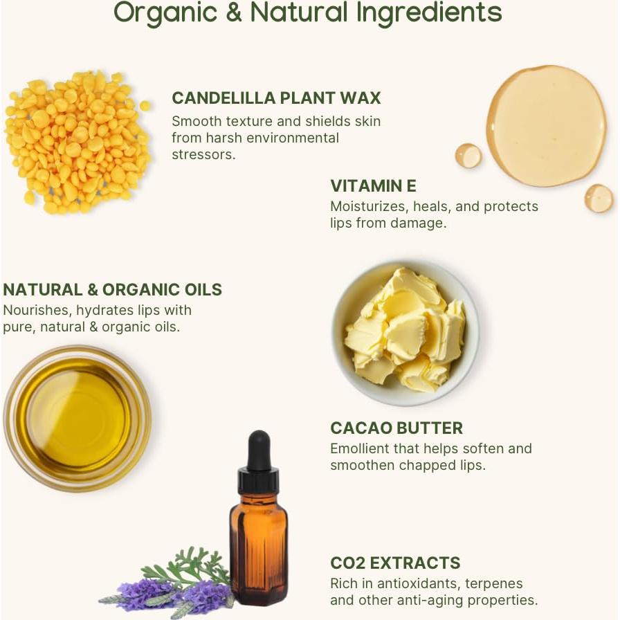 Bálsamo Labial Orgánico ILIKA Jumbo - Paquete de 4 Sabores