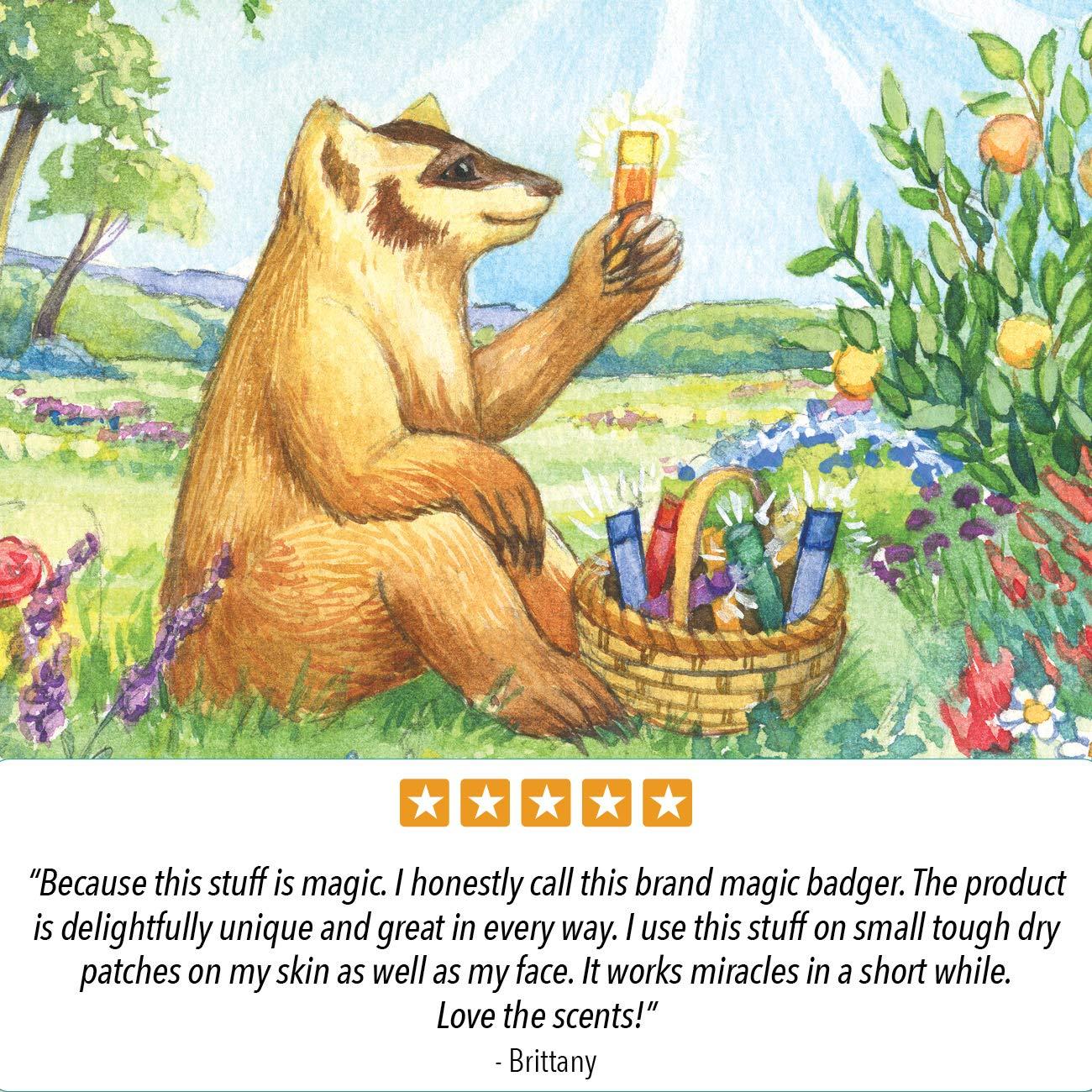 Bálsamo Labial Badger Menta Fresca 7.87 cm 9.07 g