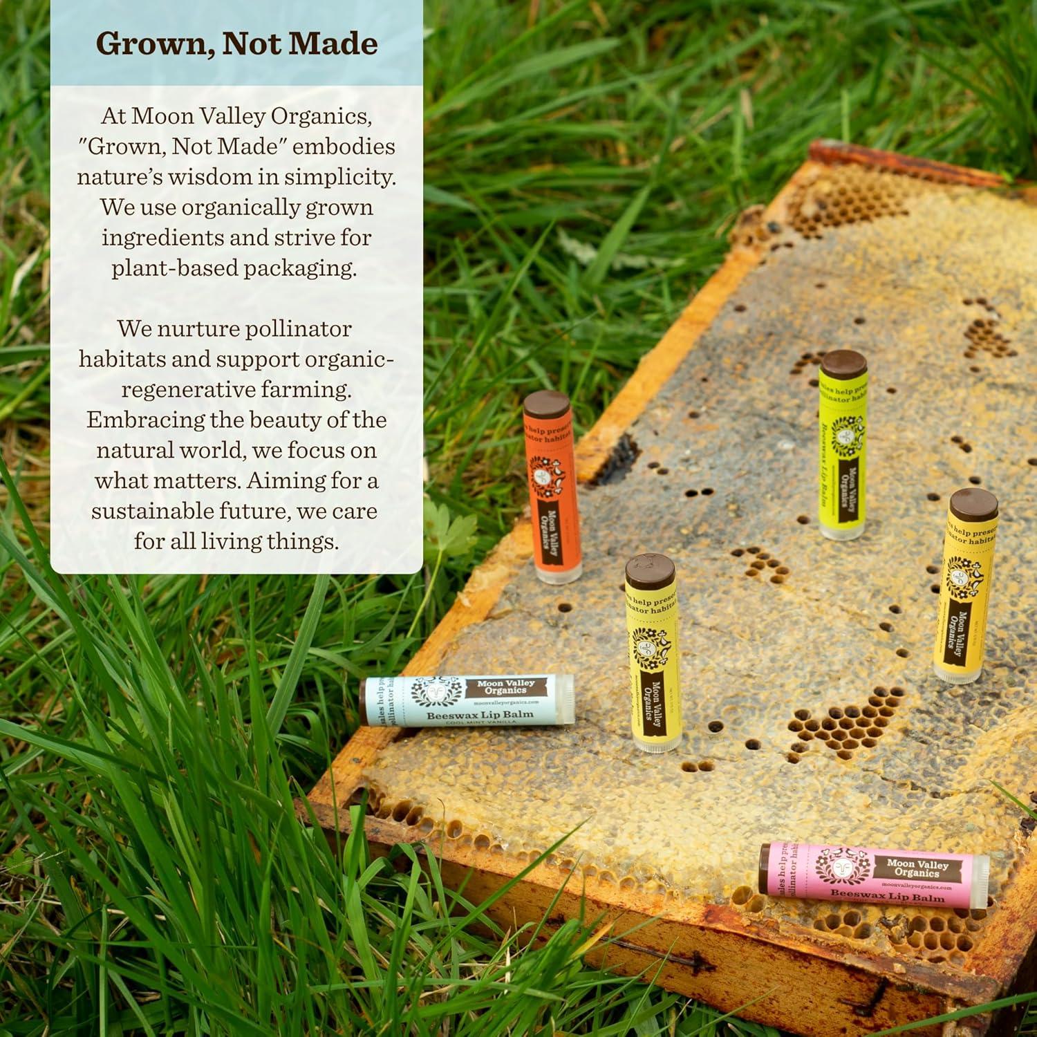 Bálsamo Labial Orgánico Moon Valley Menta Vainilla 4.25g