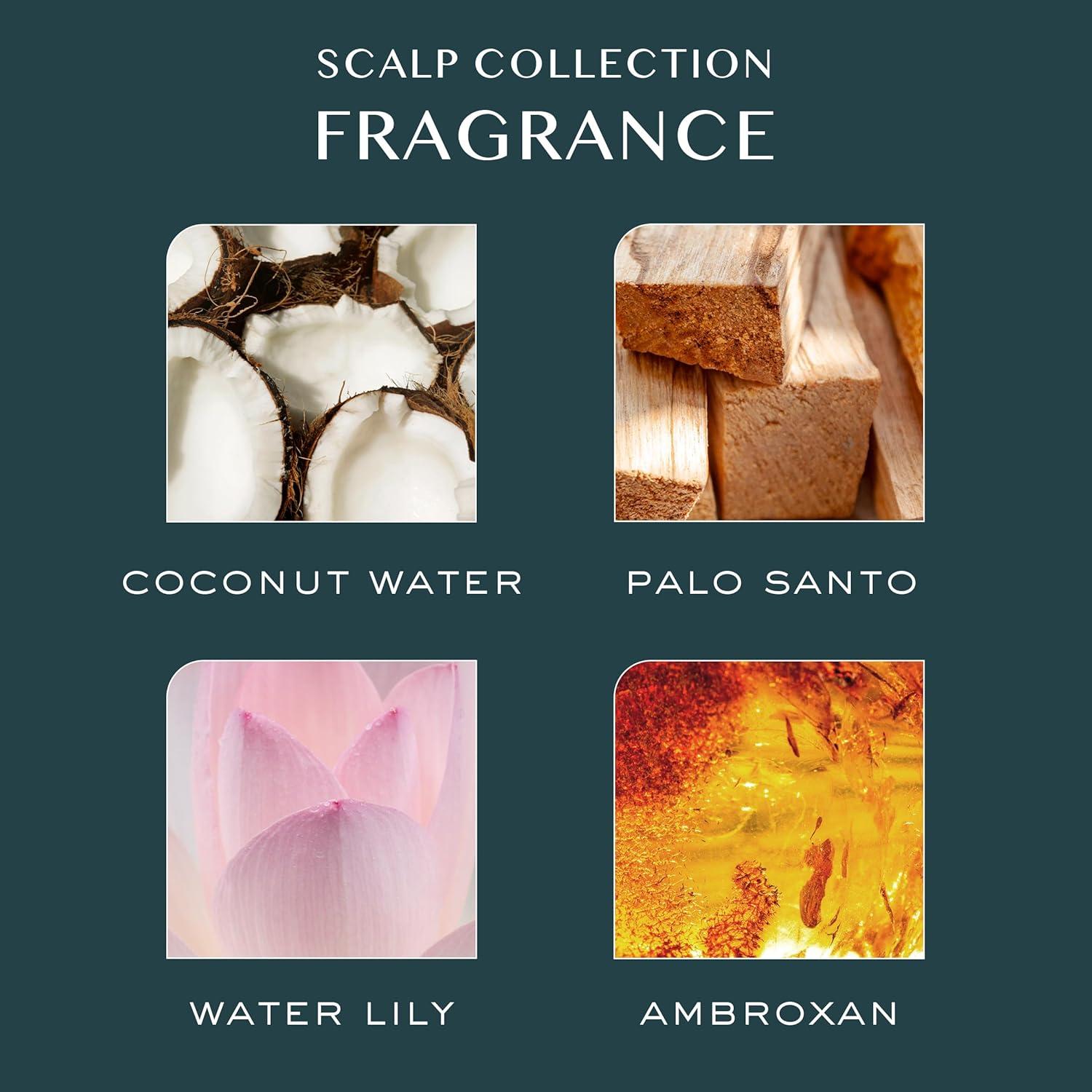 Aceite Hidratante para Cuero Cabelludo Kristin Ess 168g