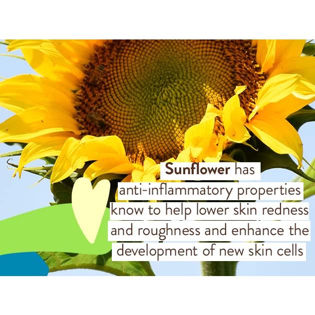 Protector Solar Mineral Babo Botanicals SPF 50 - Spray Vegano