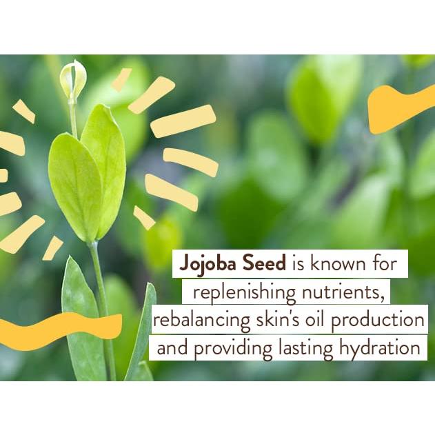 Protector Solar Mineral Babo Botanicals SPF 30 - 170g