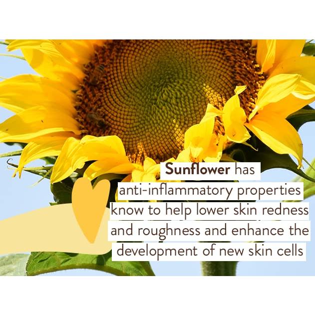 Protector Solar Mineral Babo Botanicals SPF 30 - 170g