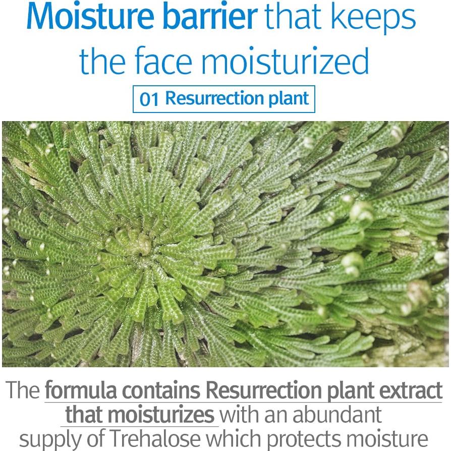 Loción Hidratante Pyunkang Yul para Niños y Bebés 590ml