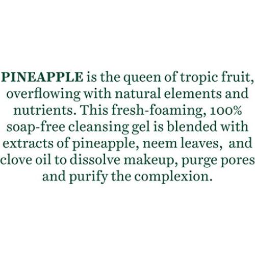 Gel Limpiador Enzimático Biotique Piña 120 ml Piel Grasa