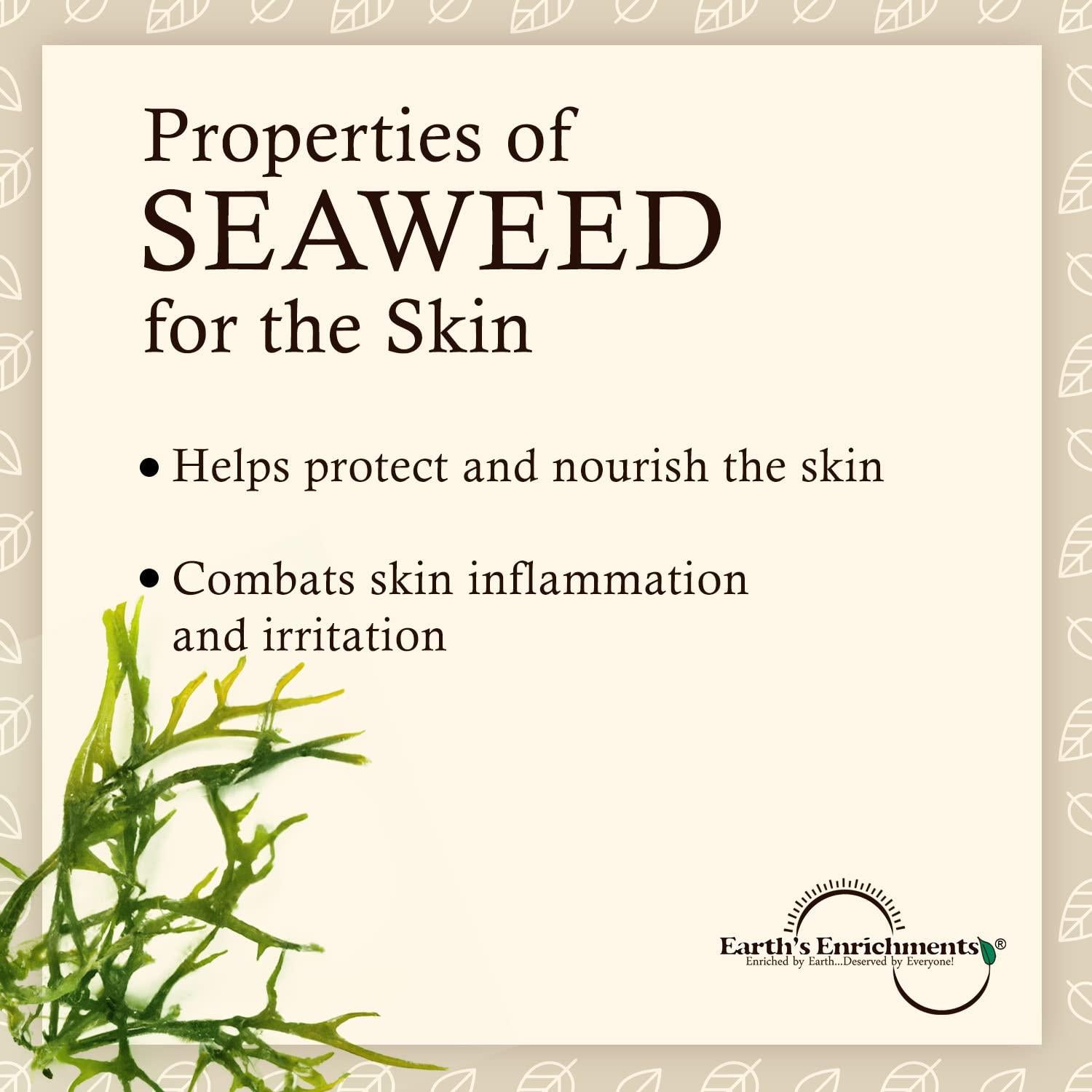 Exfoliante Corporal Orgánico Vegano Earth's Enrichments 226.8g Menta Romero