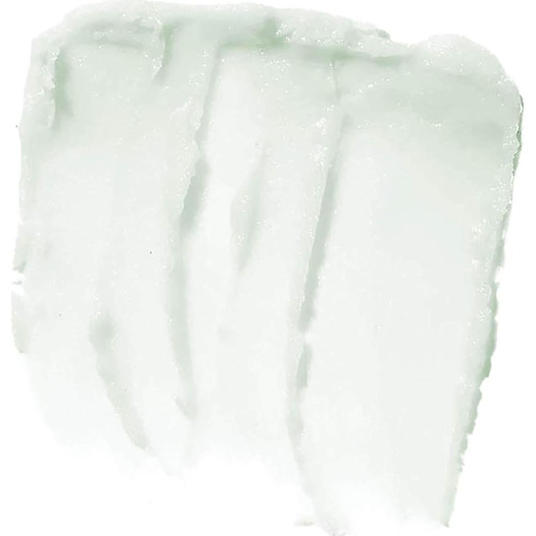 Exfoliante Labial e.l.f. Maniaco de Menta 3.11 g