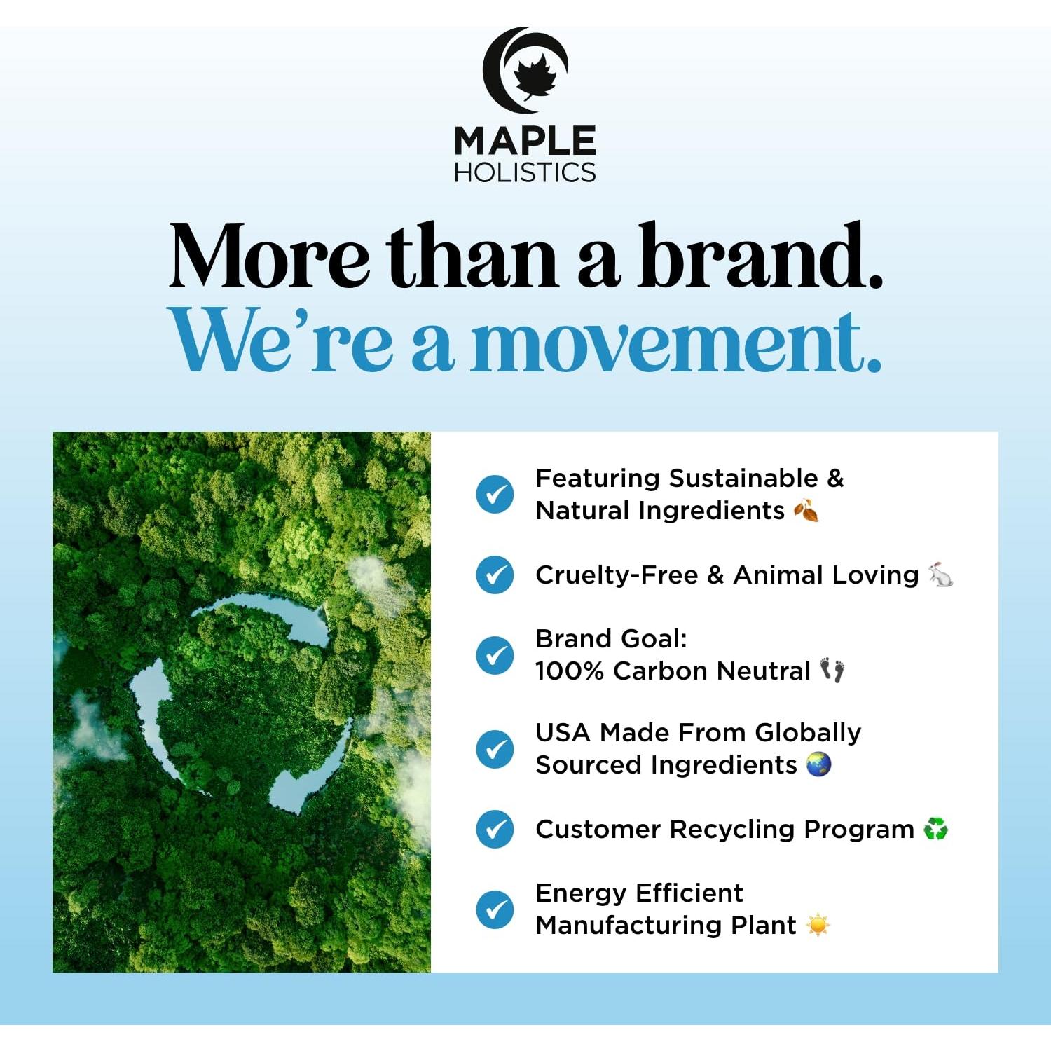 Acondicionador Sin Enjuague Maple Holistics 450g Hidratante