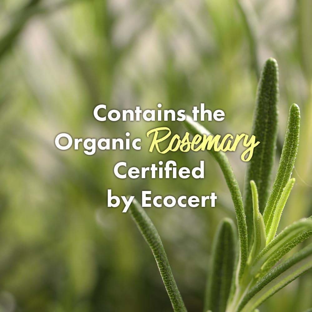 Spray Energizante Crecimiento Capilar RATED GREEN 120 ml